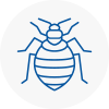 Bed Bug Extermination In Biggin Hill