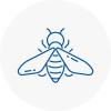 Bee Nest Removal Biggin Hill
