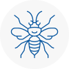 Biggin Hill Hornet Nest Removals