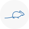 Mice Exterminators In Biggin Hill