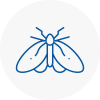 Moth Control Specialists In Biggin Hill