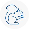Biggin Hill Rodent Removals