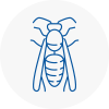 Biggin Hill Wasp Nest Removal